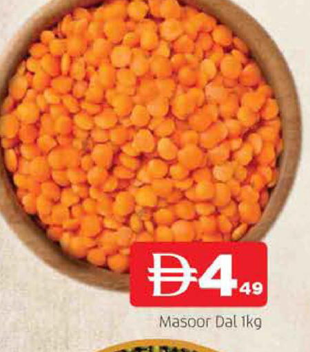 available at المدينة in الإمارات العربية المتحدة , الامارات - الشارقة / عجمان