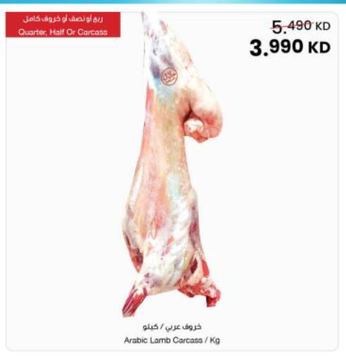 available at مركز سلطان in الكويت - محافظة الجهراء