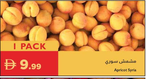 Apricot from Syria available at إسطنبول سوبرماركت in الإمارات العربية المتحدة , الامارات - ٱلْعَيْن‎