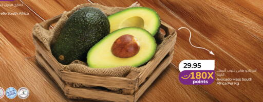 Avocado from South Africa available at لولو هايبرماركت in الإمارات العربية المتحدة , الامارات - الشارقة / عجمان