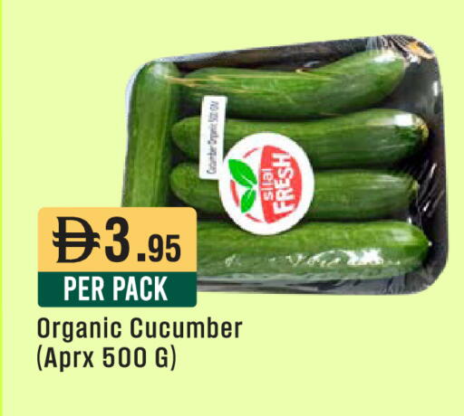 Cucumber available at West Zone Supermarket in UAE - Sharjah / Ajman