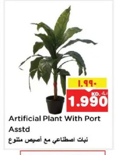 available at Nesto Hypermarkets in Kuwait - Ahmadi Governorate