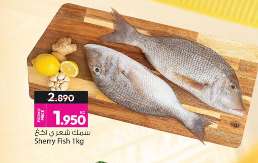 available at أنصار جاليري in البحرين