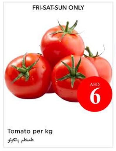 Tomato available at نستو هايبرماركت in الإمارات العربية المتحدة , الامارات - الشارقة / عجمان