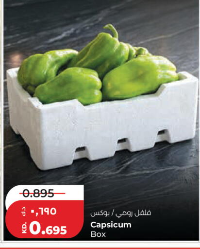Capsicum available at لولو هايبر ماركت in الكويت - محافظة الجهراء
