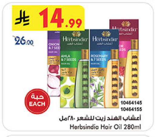 available at بن داود in مملكة العربية السعودية, السعودية, سعودية - المدينة المنورة