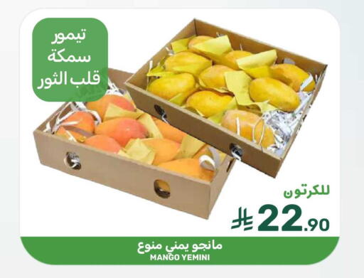 Mango available at  مـزايــا in مملكة العربية السعودية, السعودية, سعودية - المنطقة الشرقية