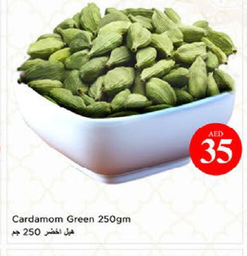 Cardamom available at نستو هايبرماركت in الإمارات العربية المتحدة , الامارات - ٱلْعَيْن‎