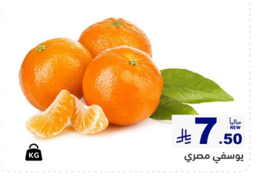 available at أسواق رامز in مملكة العربية السعودية, السعودية, سعودية - حفر الباطن