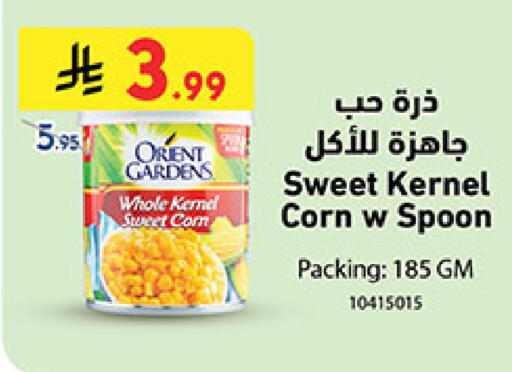 available at بن داود in مملكة العربية السعودية, السعودية, سعودية - المدينة المنورة