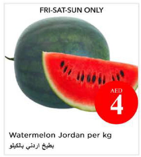 Watermelon from Jordan available at نستو هايبرماركت in الإمارات العربية المتحدة , الامارات - الشارقة / عجمان
