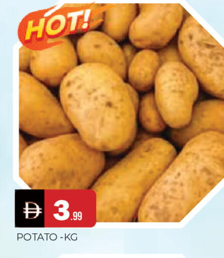 Potato available at المدينة in الإمارات العربية المتحدة , الامارات - الشارقة / عجمان