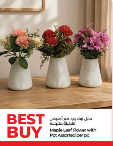 available at لولو هايبرماركت in الإمارات العربية المتحدة , الامارات - الشارقة / عجمان