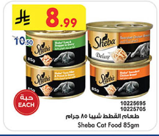 available at بن داود in مملكة العربية السعودية, السعودية, سعودية - المدينة المنورة
