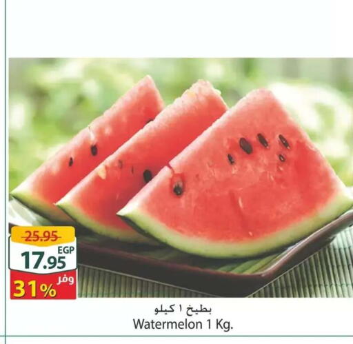 Watermelon available at Spinneys  in Egypt - Cairo
