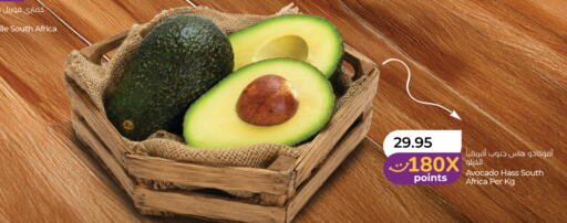 Avocado from South Africa available at لولو هايبرماركت in الإمارات العربية المتحدة , الامارات - ٱلْعَيْن‎
