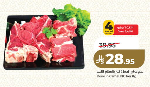 available at لولو هايبرماركت in مملكة العربية السعودية, السعودية, سعودية - المنطقة الشرقية