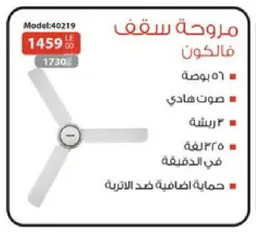 available at Raneen in Egypt - Cairo