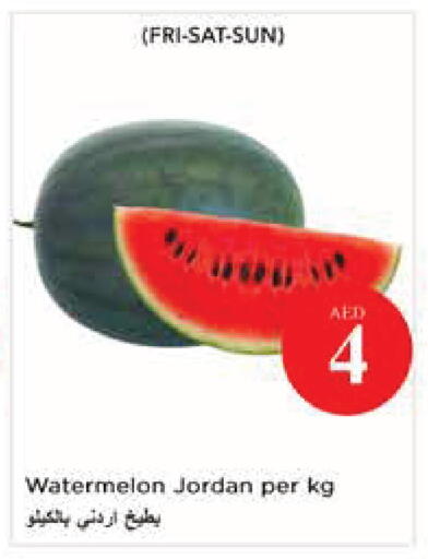 Watermelon from Jordan available at نستو هايبرماركت in الإمارات العربية المتحدة , الامارات - أبو ظبي