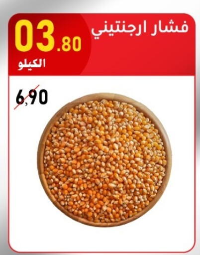 available at Bin Afif Bazaar in KSA, Saudi Arabia, Saudi - Dammam