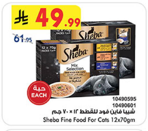available at بن داود in مملكة العربية السعودية, السعودية, سعودية - المدينة المنورة