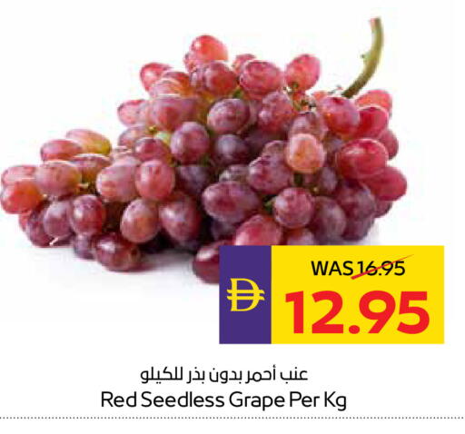 available at أدكووب in الإمارات العربية المتحدة , الامارات - أبو ظبي
