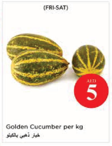 Cucumber available at نستو هايبرماركت in الإمارات العربية المتحدة , الامارات - أبو ظبي
