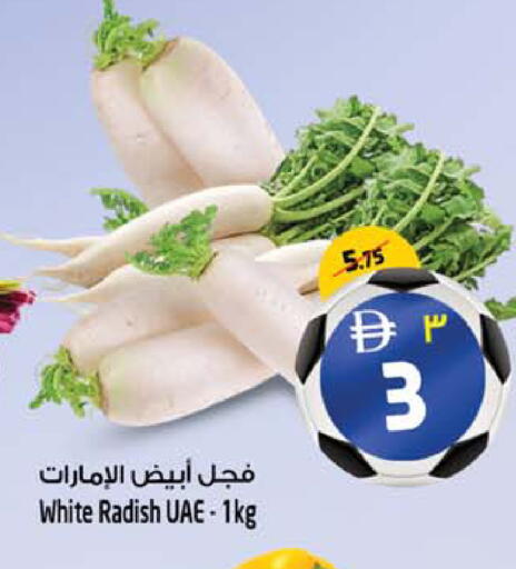 Radish available at Safari Hypermarket  in UAE - Dubai