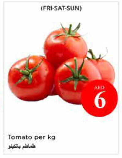 Tomato available at نستو هايبرماركت in الإمارات العربية المتحدة , الامارات - الشارقة / عجمان