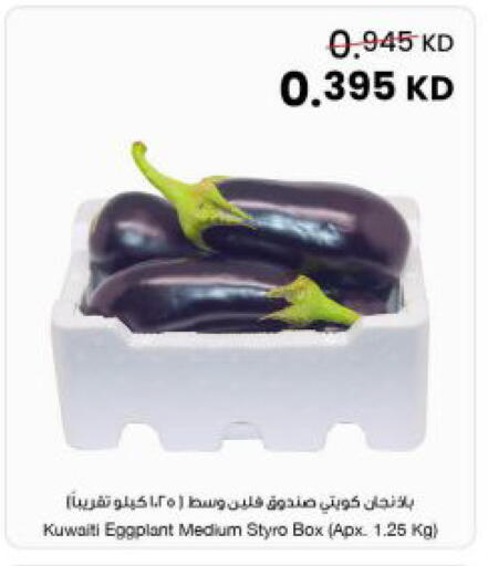 Eggplant from Kuwait available at مركز سلطان in الكويت - محافظة الجهراء