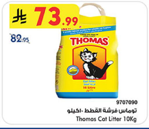 available at بن داود in مملكة العربية السعودية, السعودية, سعودية - المدينة المنورة