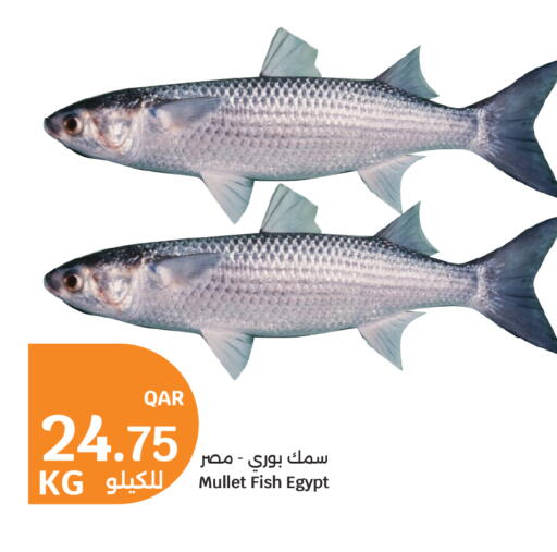 available at سيتي هايبرماركت in قطر - الشمال