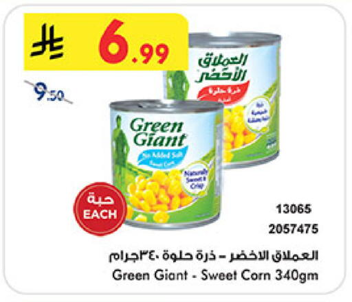 available at بن داود in مملكة العربية السعودية, السعودية, سعودية - المدينة المنورة