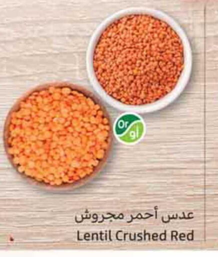 available at Othaim Markets in KSA, Saudi Arabia, Saudi - Dammam