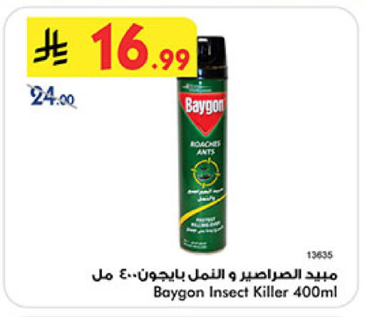 available at بن داود in مملكة العربية السعودية, السعودية, سعودية - المدينة المنورة