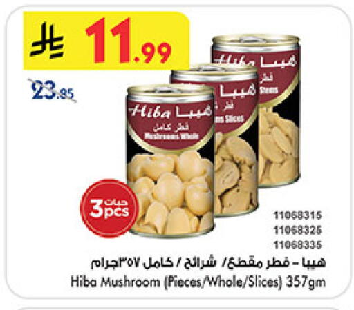 Mushroom available at بن داود in مملكة العربية السعودية, السعودية, سعودية - المدينة المنورة
