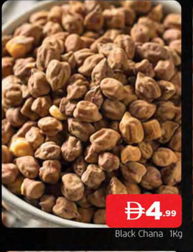 available at المدينة in الإمارات العربية المتحدة , الامارات - الشارقة / عجمان
