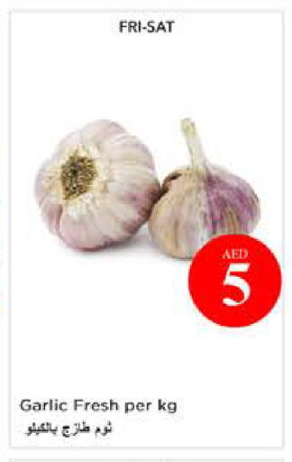Garlic available at نستو هايبرماركت in الإمارات العربية المتحدة , الامارات - أبو ظبي