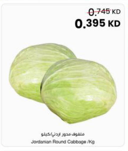 Cabbage from Jordan available at مركز سلطان in الكويت - محافظة الجهراء