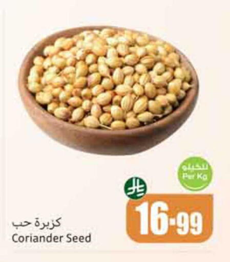 Coriander available at أسواق عبد الله العثيم in مملكة العربية السعودية, السعودية, سعودية - أبها