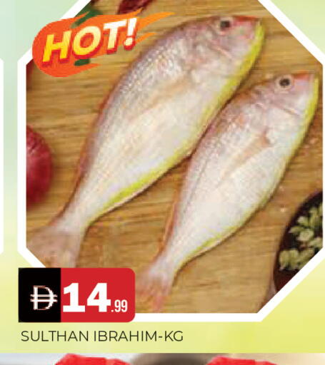 available at المدينة in الإمارات العربية المتحدة , الامارات - الشارقة / عجمان