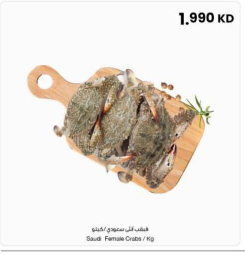 available at مركز سلطان in الكويت - محافظة الجهراء