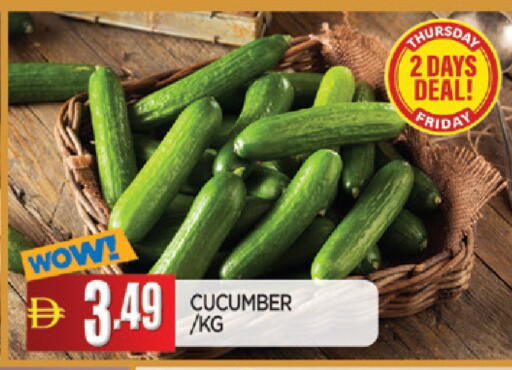 Cucumber available at AL MADINA in UAE - Sharjah / Ajman