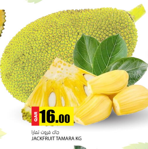 Jackfruit available at جراند هايبرماركت in قطر - الدوحة