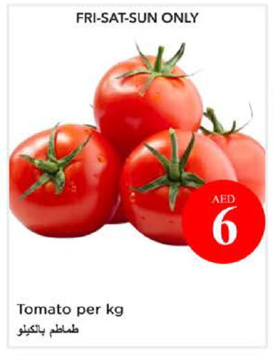Tomato available at نستو هايبرماركت in الإمارات العربية المتحدة , الامارات - الشارقة / عجمان
