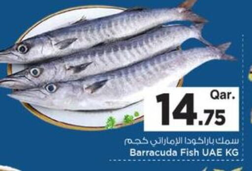 available at مارك & سيف in قطر - الريان