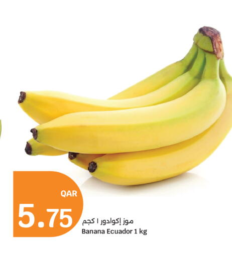 Banana from Ecuador available at سيتي هايبرماركت in قطر - الشمال