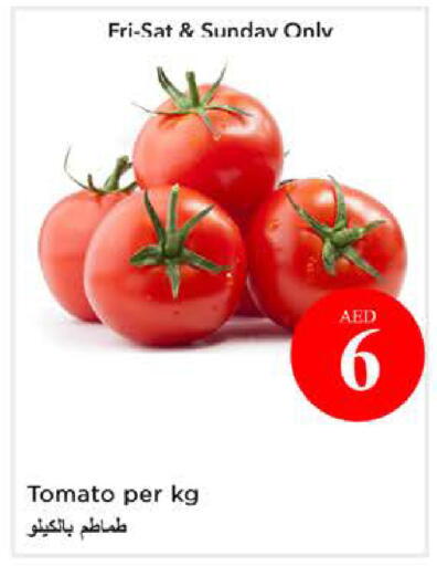 Tomato available at نستو هايبرماركت in الإمارات العربية المتحدة , الامارات - الشارقة / عجمان