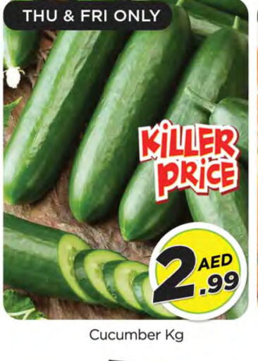 Cucumber available at المدينة in الإمارات العربية المتحدة , الامارات - الشارقة / عجمان