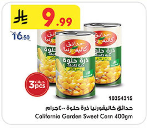 available at بن داود in مملكة العربية السعودية, السعودية, سعودية - المدينة المنورة